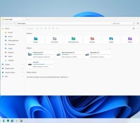 Microsoft Windows 11 application Files (1)