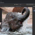 Photoshop sur le Web bientôt gratuit pour tous