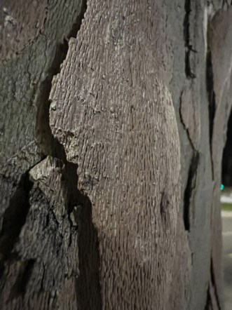 sample-photo-test-iphone-13-pro- (16)