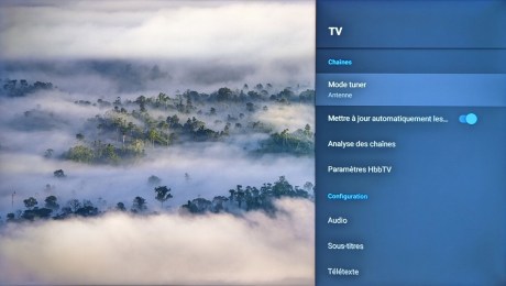 Les quelques options pour la TNT.