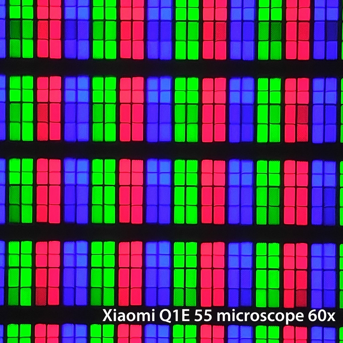 La dalle au microscope 60x.