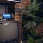 11 semaines sur la même image pour brûler l&rsquo;écran de sa Nintendo Switch OLED