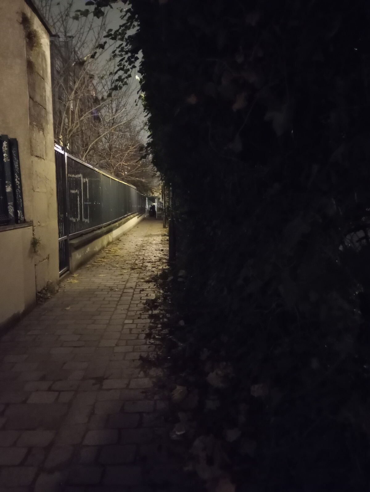 Sans mode nuit Sans mode nuit