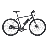 Pure Electric Flux One
