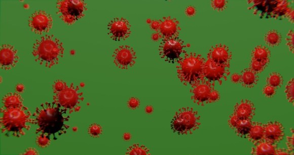 Virus 2