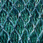 Le rapport entre un filet de pêche et le Samsung Galaxy S22 Le rapport entre un filet de pêche et le Samsung Galaxy S22