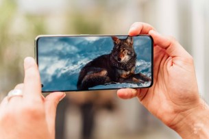 Une vidéo sur l'écran du OnePlus 10 Pro // Source : Anthony Wonner - Frandroid