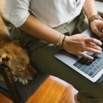 La bouille des chiens floutée sur Maps, le plan d&rsquo;Elon Musk et Apple rassurant – Tech&rsquo;spresso