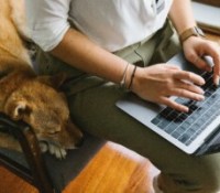 Photo d'illustration avec un chien. // Source : Photo de Meruyert Gonullu provenant de Pexels