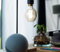 Les ampoules connectées Filament Nuances de blanc Globe // Source : Boulanger