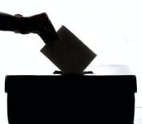 Un bulletin de vote glissé dans une urne // Source : Element5 Digital