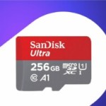 SanDisk MicroSDXC 256 Go (1)