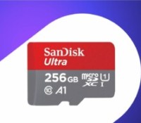 SanDisk MicroSDXC 256 Go (1)