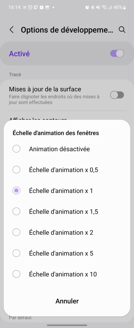 Modification de l'échelle des animations sur One UI 4. // Source : Frandroid