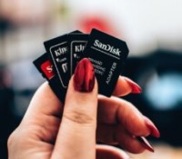 Des cartes et adapteurs de carte SD // Source : Photo de Lisa Fotios provenant de Pexels