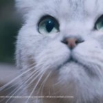 Capteur photo de 200 mpx, Autopilot Tesla limité et Google Pixel Fold retardé – Tech&rsquo;spresso