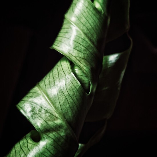 withGalaxy macro 7