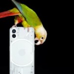 Design du Nothing Phone (1), nouvel iPad en approche et Vivo X80 Pro lancé en France – Tech&rsquo;spresso