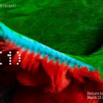 Nothing phone (1) : toutes les annonces de la conférence Nothing phone (1) : toutes les annonces de la conférence
