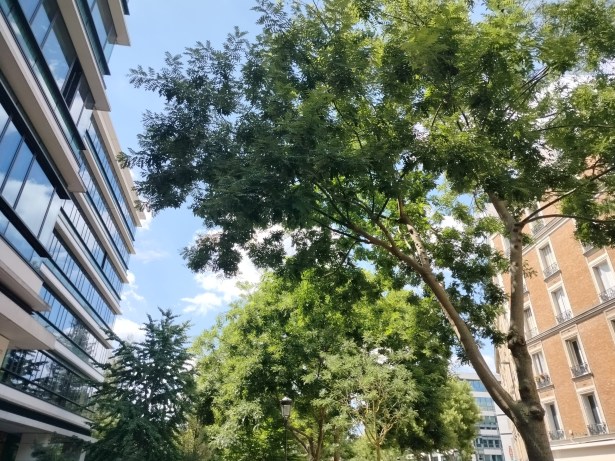 IMG20220706134751