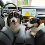 Rivian copie Tesla et prend soin des animaux de compagnie à bord des voitures Rivian copie Tesla et prend soin des animaux de compagnie à bord des voitures