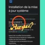 Oups, Google déploie Android 12 au lieu d’Android 13 Oups, Google déploie Android 12 au lieu d’Android 13