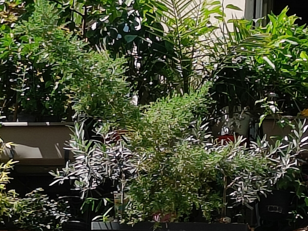 Zoom x10 Zoom x10