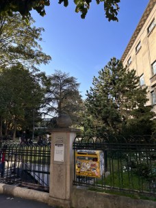 Iphone 14 photo (27)