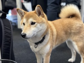 test-iphone-14-pro-max-sample- (63)