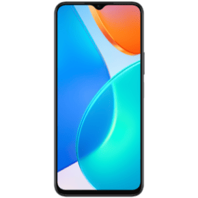 Honor X6