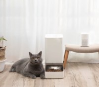 Même le distributeur ne résiste pas à donner des croquettes au chat // Source : Xiaomi