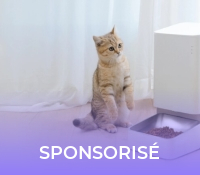 mi smart pet feeder