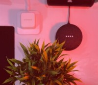Rishi Mohan sur Unsplash Rishi Mohan sur Unsplash