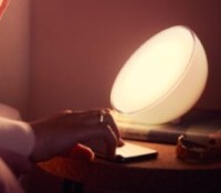 Philips Hue Go