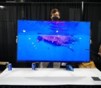 L'écran OLED 4K sur batterie au CES 2023 // Source : Ulrich Rozier - Frandroid
