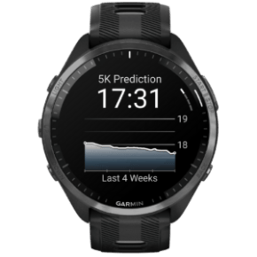 Garmin Forerunner 965 Garmin Forerunner 965