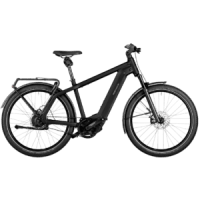 Riese & Müller Charger4 GT vario
