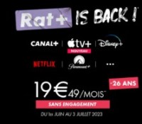 canal rat