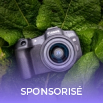 Canon EOS R8 : pourquoi ce boitier est un excellent rapport qualité-prix pour se lancer dans la photo pro Canon EOS R8 : pourquoi ce boitier est un excellent rapport qualité-prix pour se lancer dans la photo pro