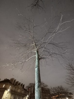 Photo mode nuit du Vivo X90 Pro avec l'appareil photo 13 mm