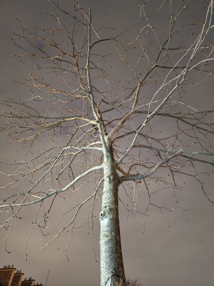 Photo mode nuit du Vivo X90 Pro avec l'appareil photo 23 mm