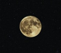 La Lune // Source : Neven Krcmarek sur Unsplash