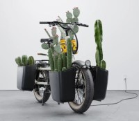 Source : Specialized