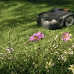 Ce robot tondeuse est le meilleur ami des abeilles Ce robot tondeuse est le meilleur ami des abeilles