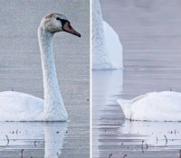 La nouvelle mise à jour d'avril 2023 de Lightroom propose notamment de la réduction de bruit par IA bluffante // Source : Adobe