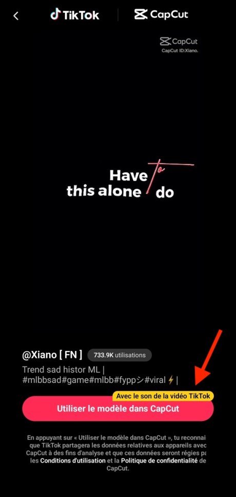 Avec son TikTok // Source : Capture d'écran Frandroid