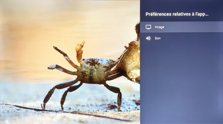 Gérez les options pour l'image ou pour le son.