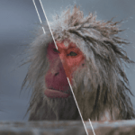 Nos trois meilleurs presets Lightroom et comment créer vos propres presets