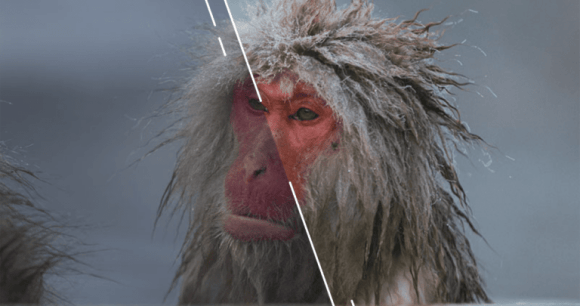 Les presets Lightroom permettent de donner du style à vos photos // Source : Lola Gréco pour Frandroid Les presets Lightroom permettent de donner du style à vos photos // Source : Lola Gréco pour Frandroid