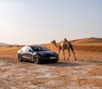 Tesla Model 3 actuelle